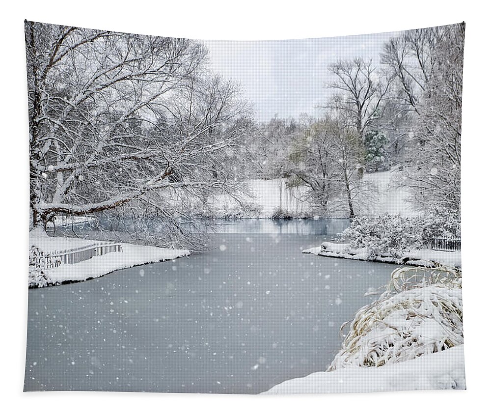Snow Cincinnati Winter January Springgrove Sprsping Grove Tapestry featuring the photograph Winter Landscape by Ed Taylor