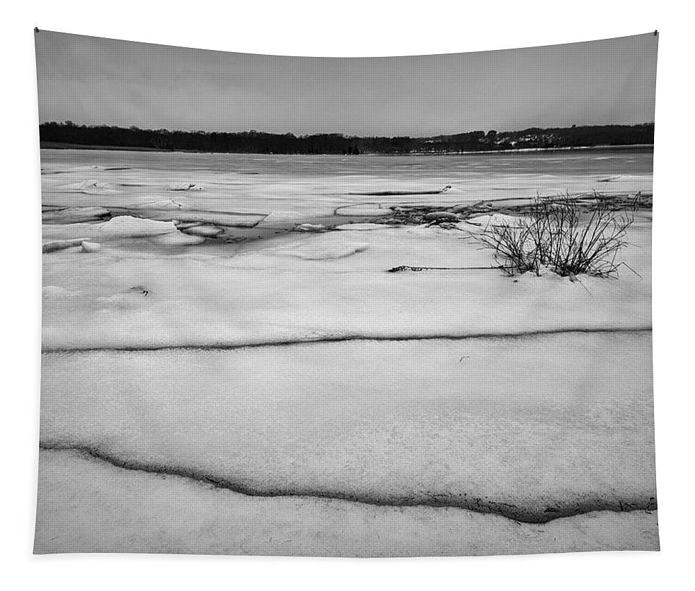 Fine Art Photography Tapestry featuring the photograph Winter Landscape XIII BW by David Gordon