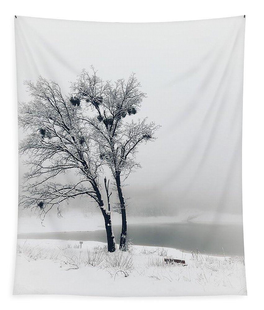 Black And White Tapestry featuring the photograph Winter Oak by Steph Gabler