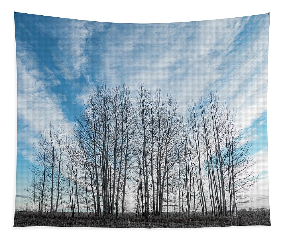 Sky Tapestry featuring the photograph Winter poplar bluff and sky by Phil And Karen Rispin