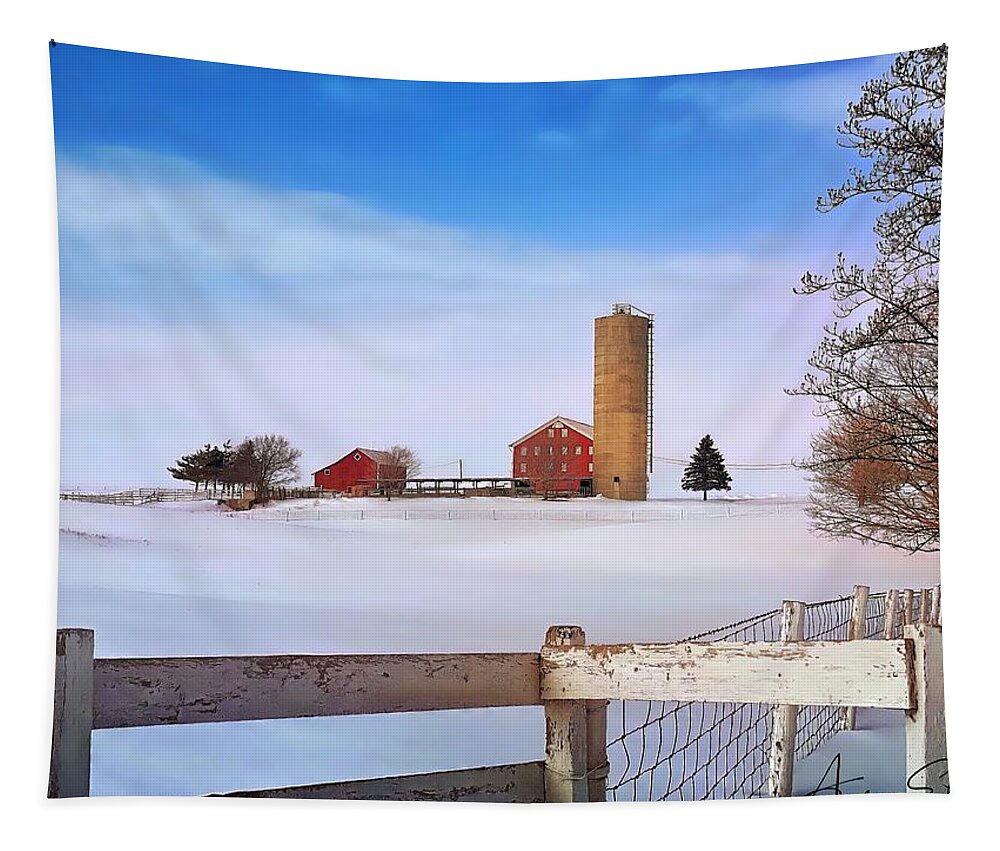 Indiana Tapestry featuring the photograph Winter Red by Andrea Platt