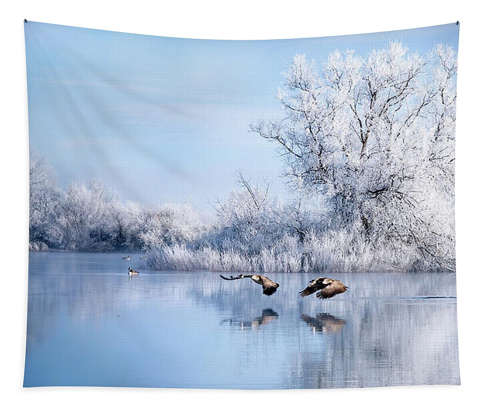 Winter Tapestry featuring the photograph Winter Reflection by Judi Dressler