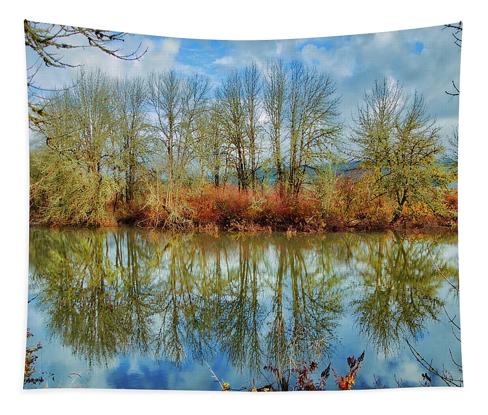 Tree Tapestry featuring the photograph Winter Reflections by Loyd Towe Photography