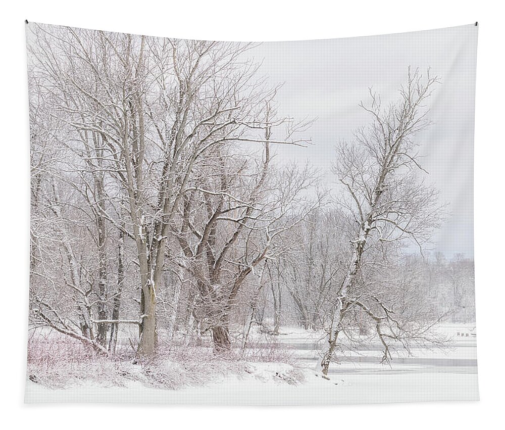 Trees Tapestry featuring the photograph Winter by Rod Best