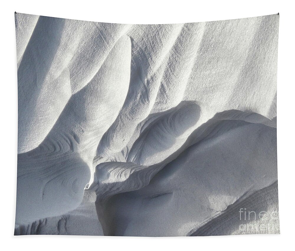 Windy Tapestry featuring the photograph Winter Sculpture by Phil Perkins