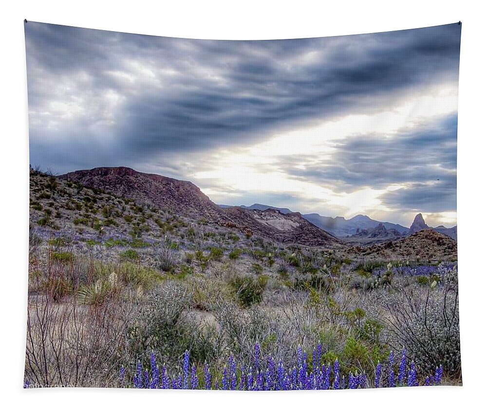 Big Bend Tapestry featuring the photograph Winter Skies in Big Bend by Pam Rendall