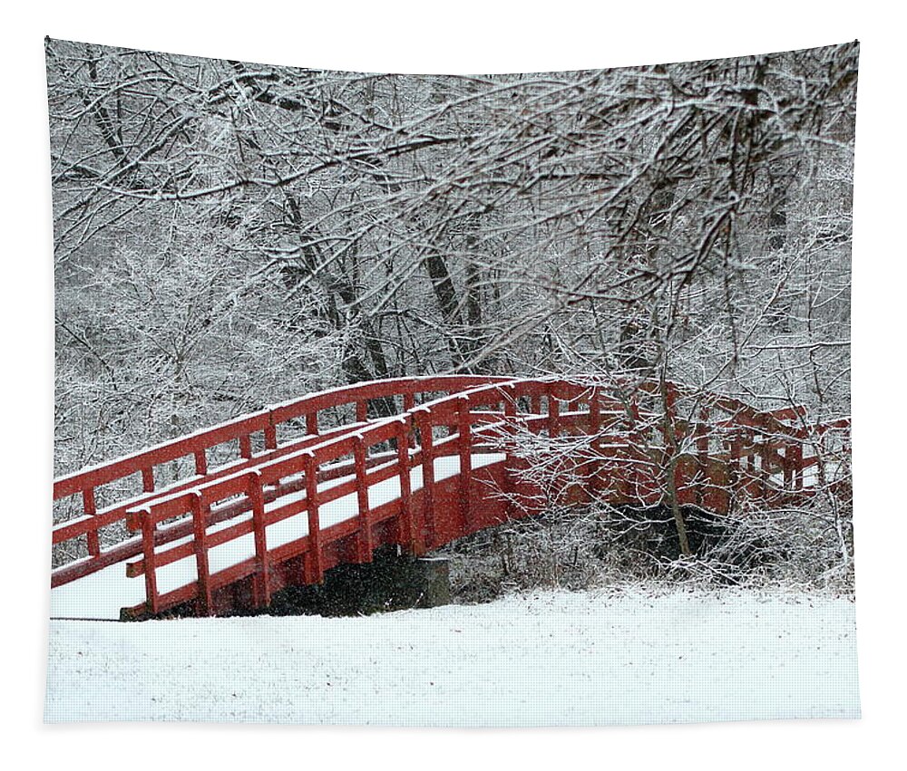 Red Tapestry featuring the photograph Winter Solitude by Lens Art Photography By Larry Trager