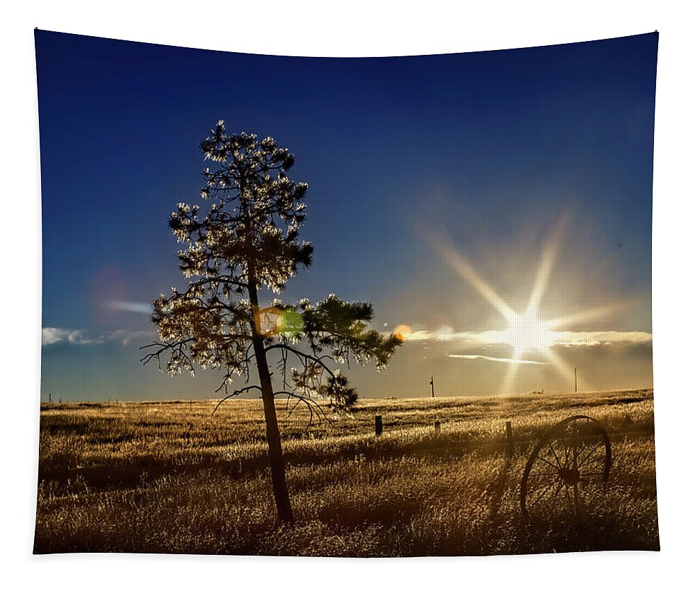 Landscape Tapestry featuring the photograph Winter Sun by Alana Thrower