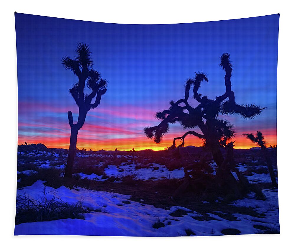Joshua Tree Tapestry featuring the photograph Winter Sunsets by Tassanee Angiolillo