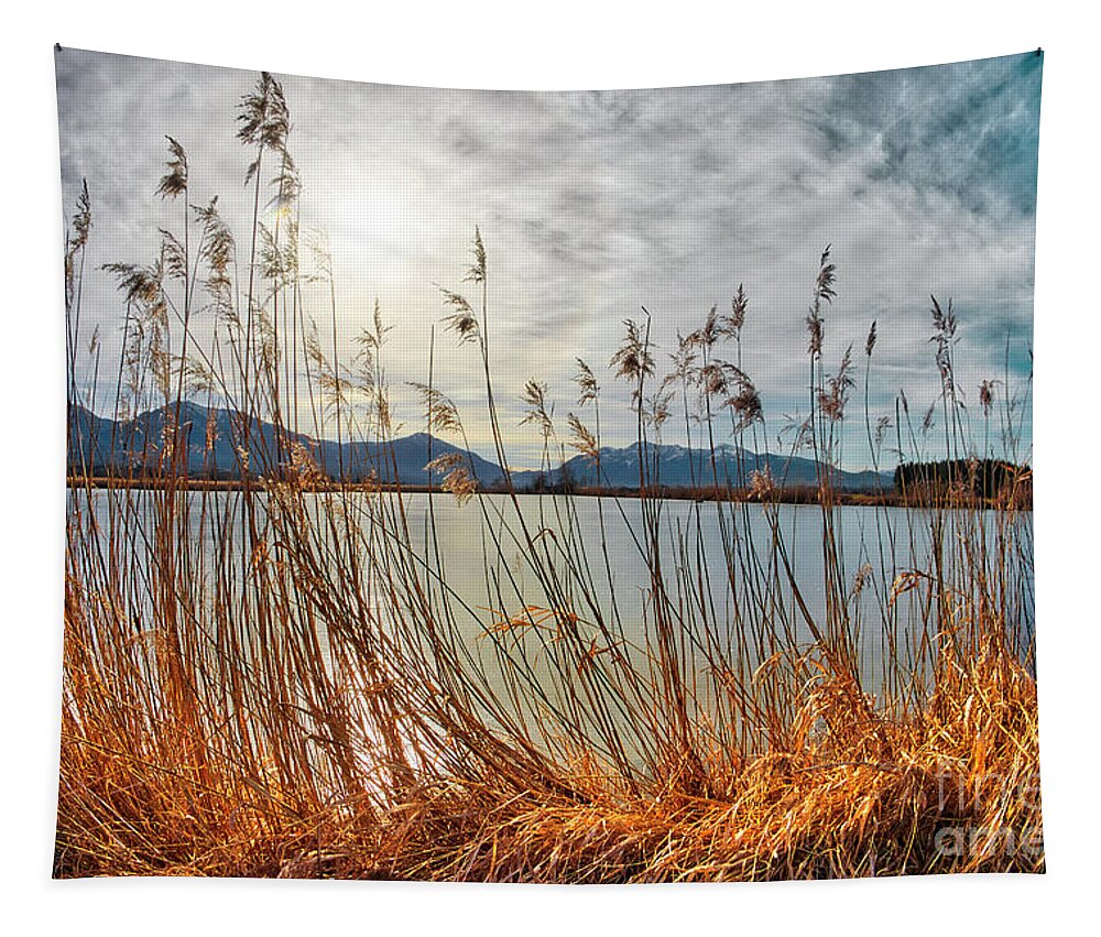 Nag005986m Tapestry featuring the photograph Winter Sunshine 02 by Edmund Nagele FRPS