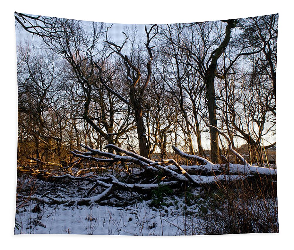 Winter Tapestry featuring the photograph Winter the Beautiful by Elena Perelman
