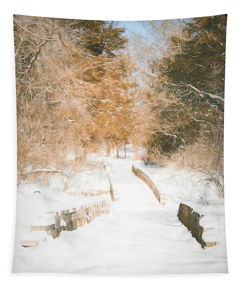 Winter Tapestry featuring the photograph Winter Trail and Bridge by Allin Sorenson