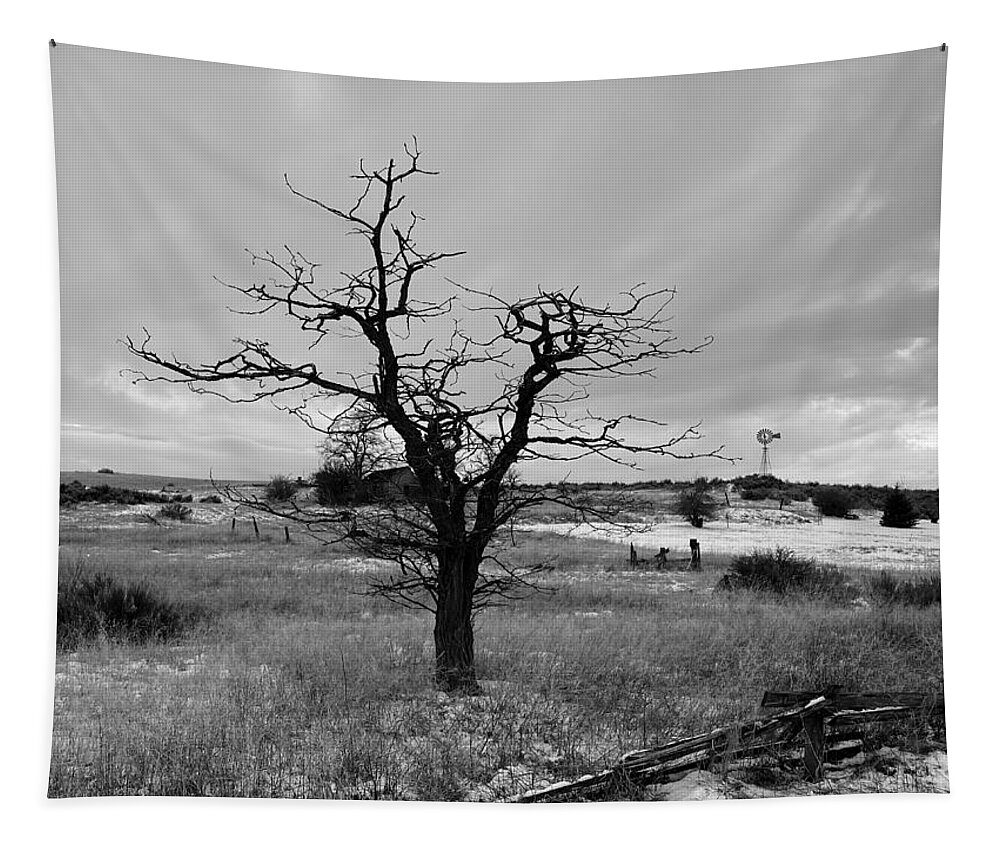 Winter Tapestry featuring the photograph Winter Tree Silhouette BW by Jerry Abbott