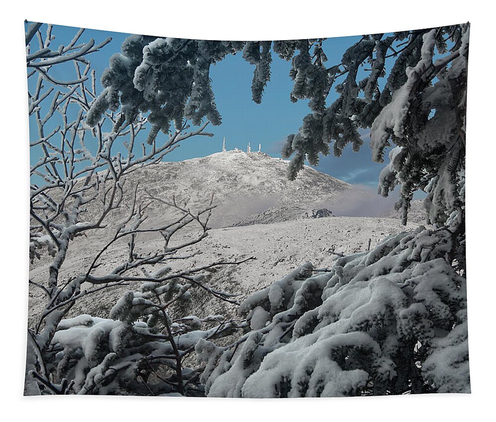 Winter Tapestry featuring the photograph Winter Trees Mount Washington by White Mountain Images