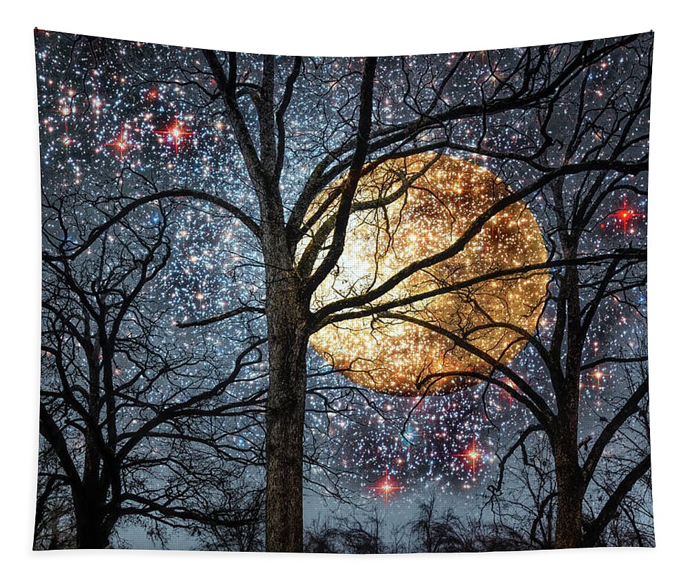 Carolina Tapestry featuring the photograph Winter Trees under a Full Moon by Debra and Dave Vanderlaan