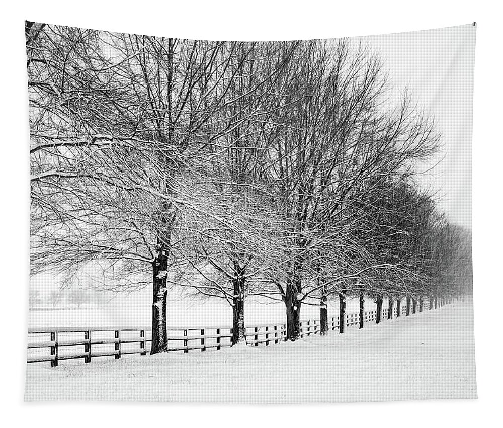Trees Tapestry featuring the photograph Winter White by C Renee Martin