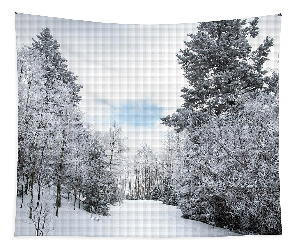 Winter Scenery Tapestry featuring the photograph Winter Wonder by Rebecca Herranen