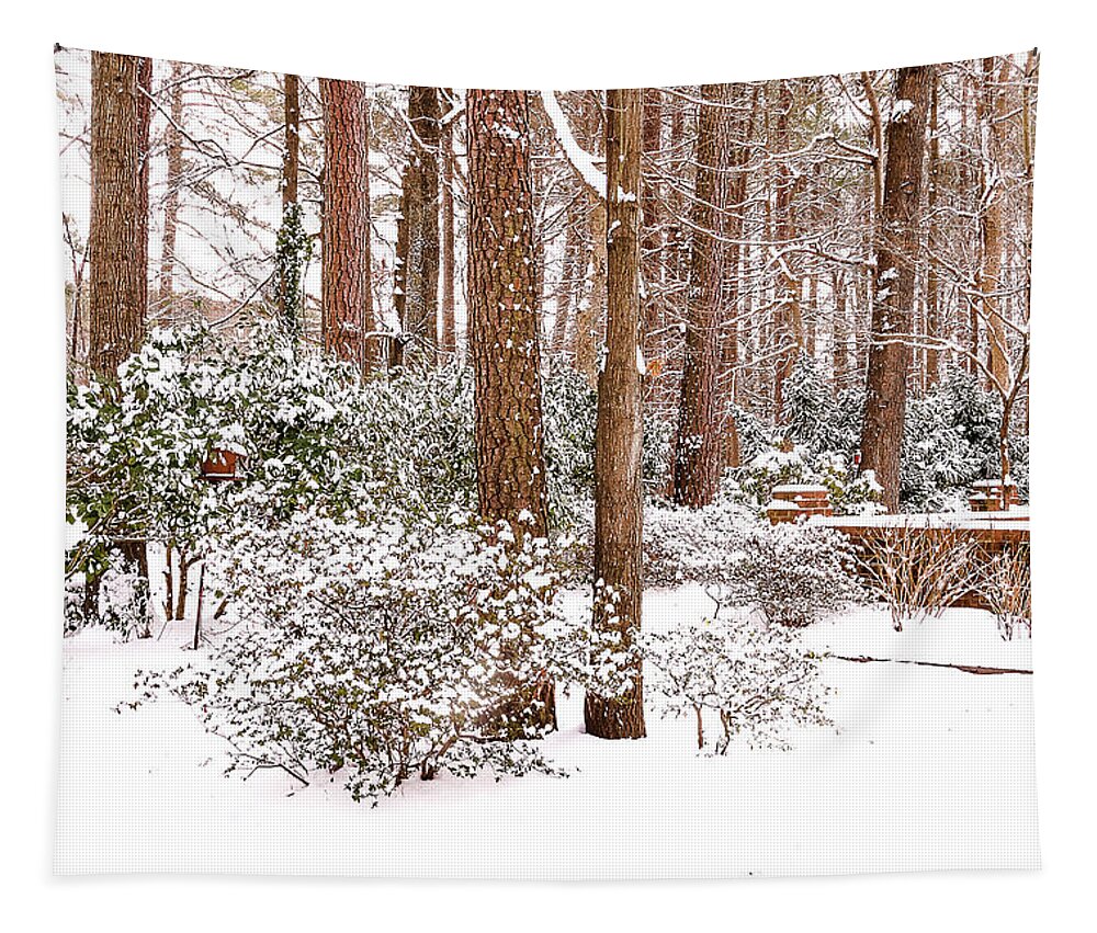 Snow Tapestry featuring the photograph Winter Wonderland by Ola Allen