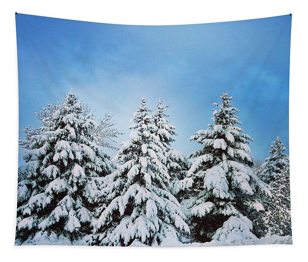 Winter Tapestry featuring the photograph Winter Wonderland by Sarah Lilja
