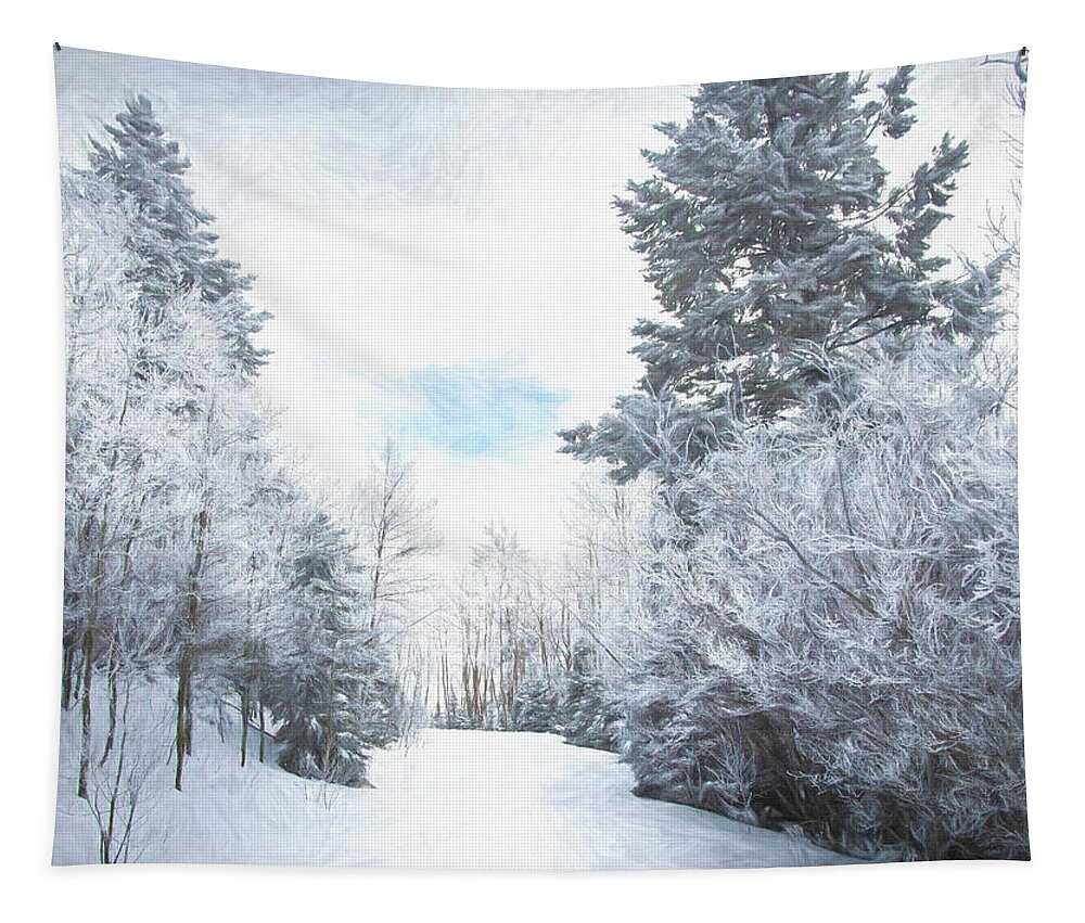 Winter Wonderland Tapestry featuring the photograph Winter Wonderland by Rebecca Herranen