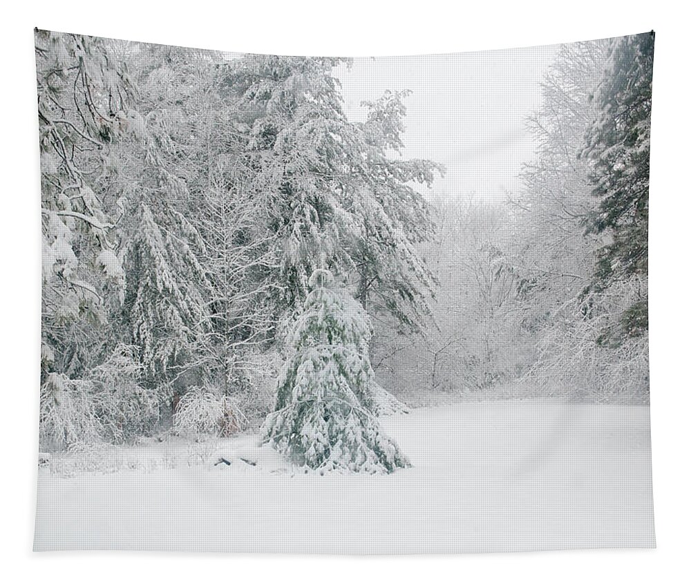 Snow Tapestry featuring the mixed media Winterland by Moira Law