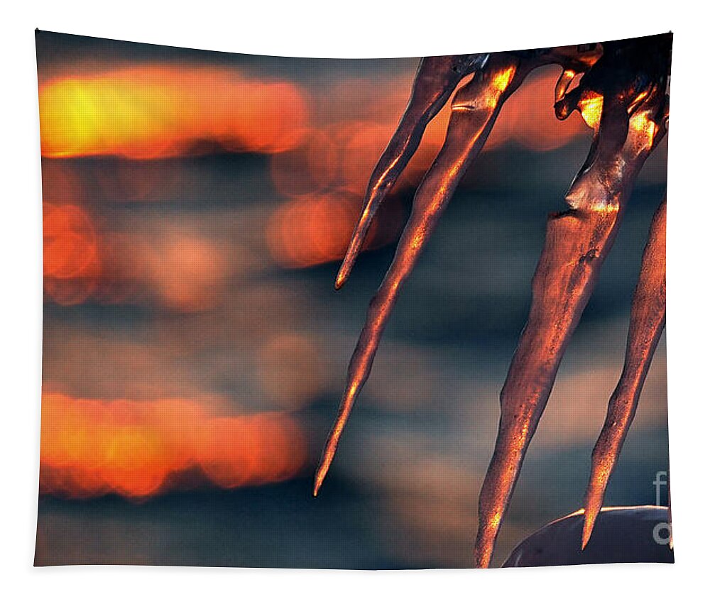 Icicles Tapestry featuring the photograph Winter's Golden Fingers by fototaker Tony