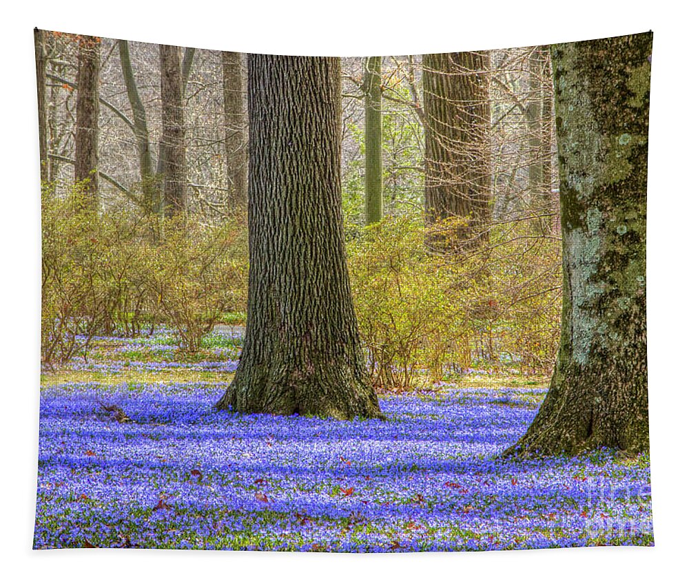 Chinodoxa Tapestry featuring the photograph Winterthur March Bank in April by Marilyn Cornwell