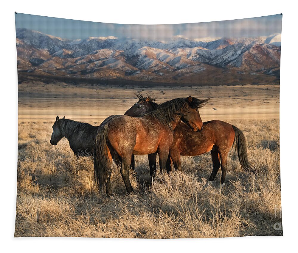 Onaqui Tapestry featuring the photograph Wintry Onaqui Sunset by Lisa Manifold