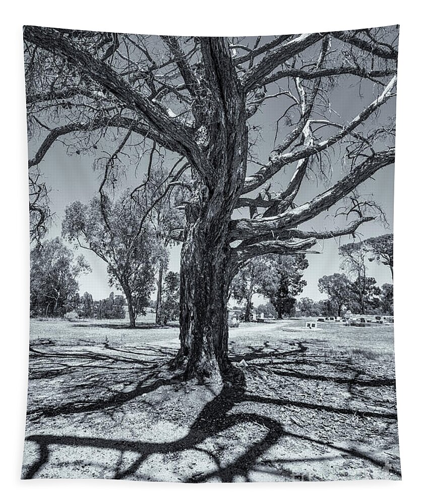 Tree Tapestry featuring the photograph Witness to a Thousand Tears 2 by Linda Lees