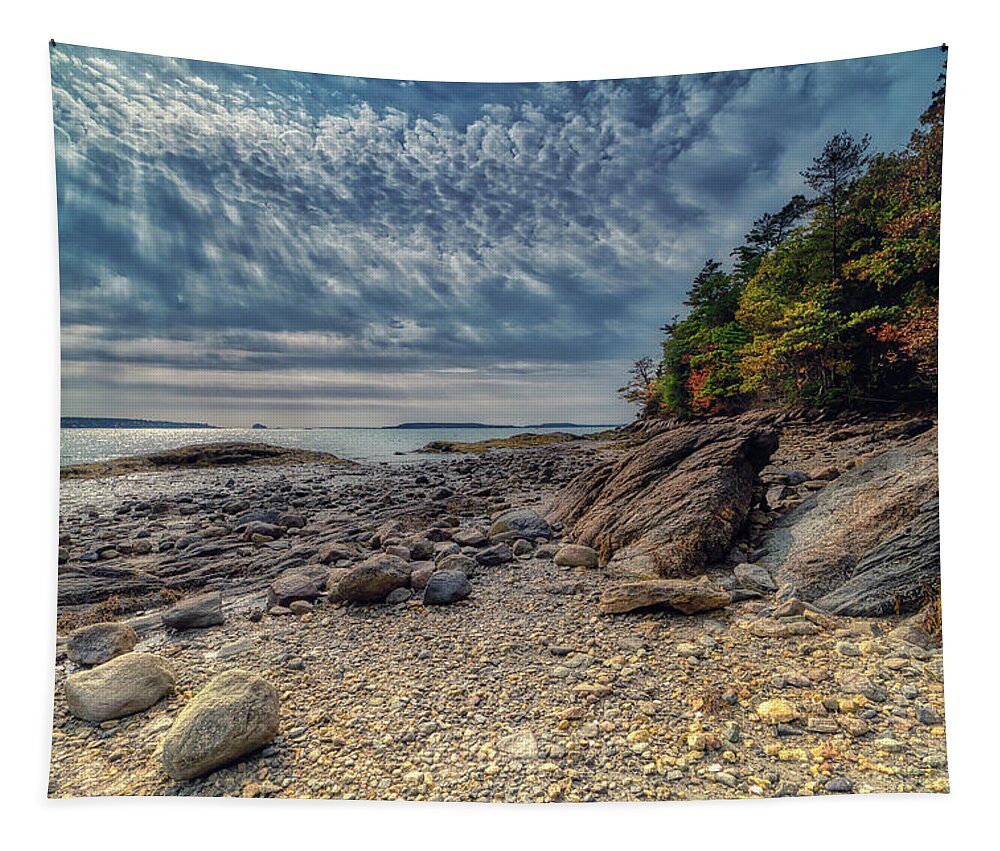 Freeport Maine Tapestry featuring the photograph Wolfe Neck Woods by Penny Polakoff