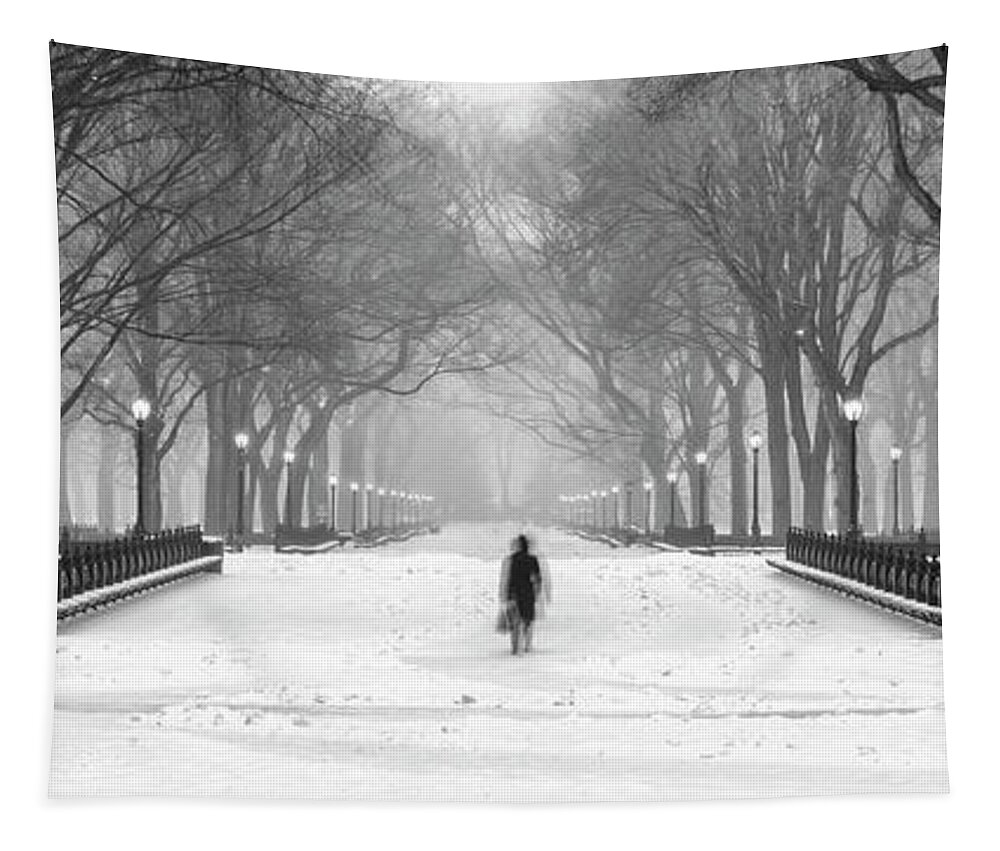 Central Park Tapestry featuring the photograph Women in Central Park and Snow by Randy Lemoine