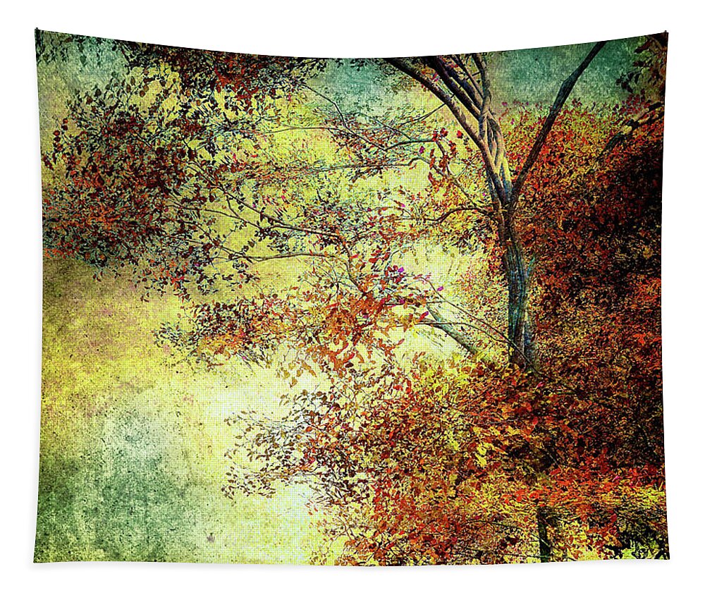 Landscape Tapestry featuring the photograph Wondering by Bob Orsillo
