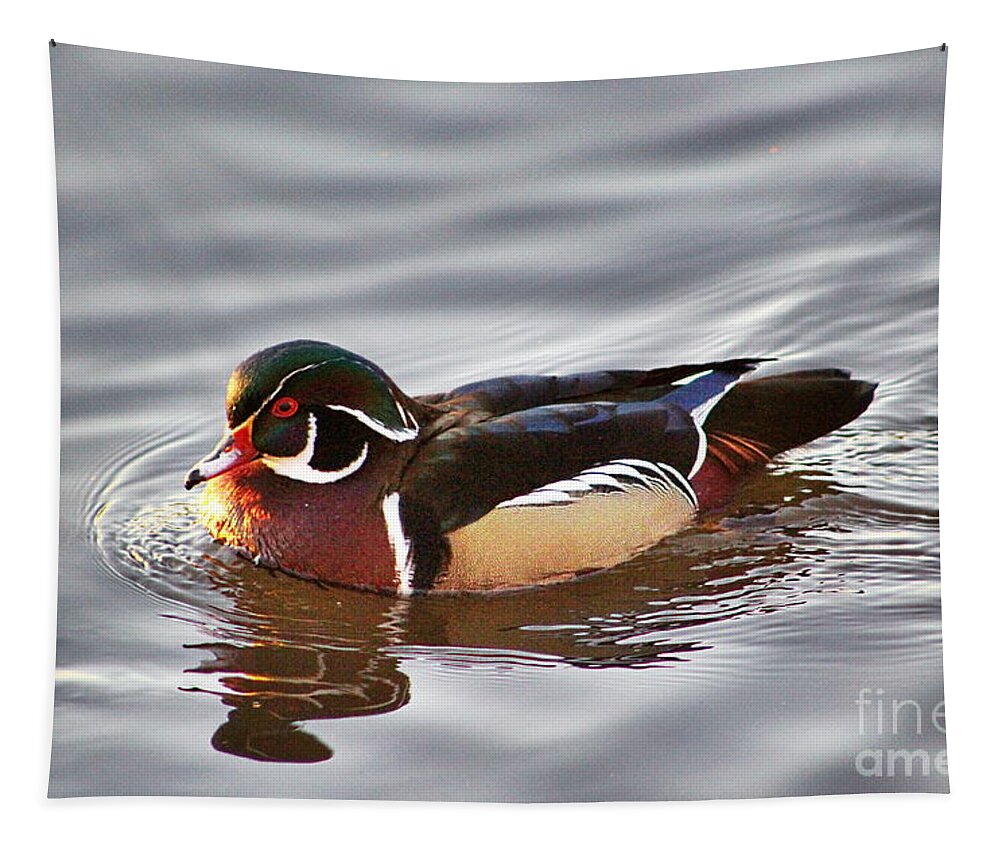 Wood Duck Tapestry featuring the photograph Wood Duck Drake in the Afternoon by Sea Change Vibes
