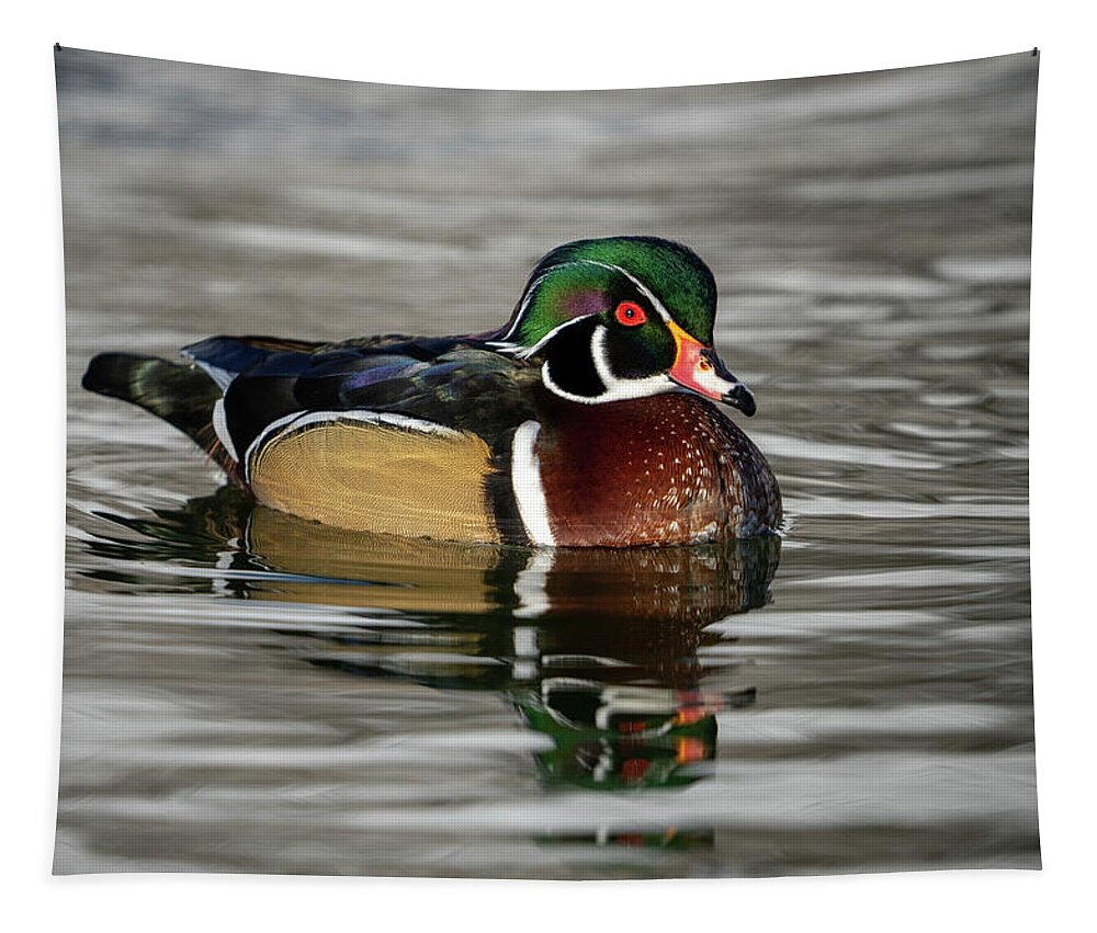 Wood Duck Tapestry featuring the photograph Wood Duck on Pond by Wesley Aston