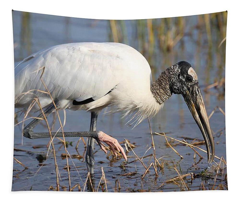 Wood Storks Tapestry featuring the photograph Wood stork by Mingming Jiang