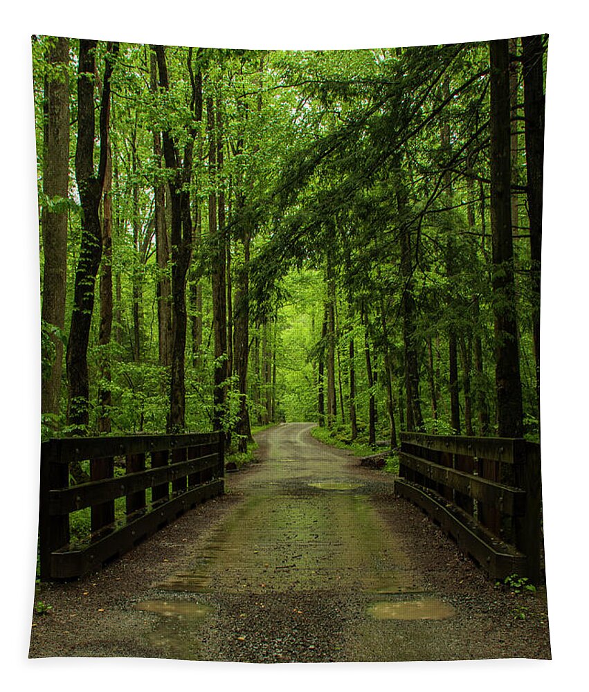 Great Smoky Mountains National Park Tapestry featuring the photograph Wooded Path by Melissa Southern