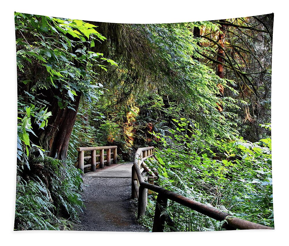 Alex Lyubar Tapestry featuring the photograph Wooden bridge on a firest hiking trail by Alex Lyubar