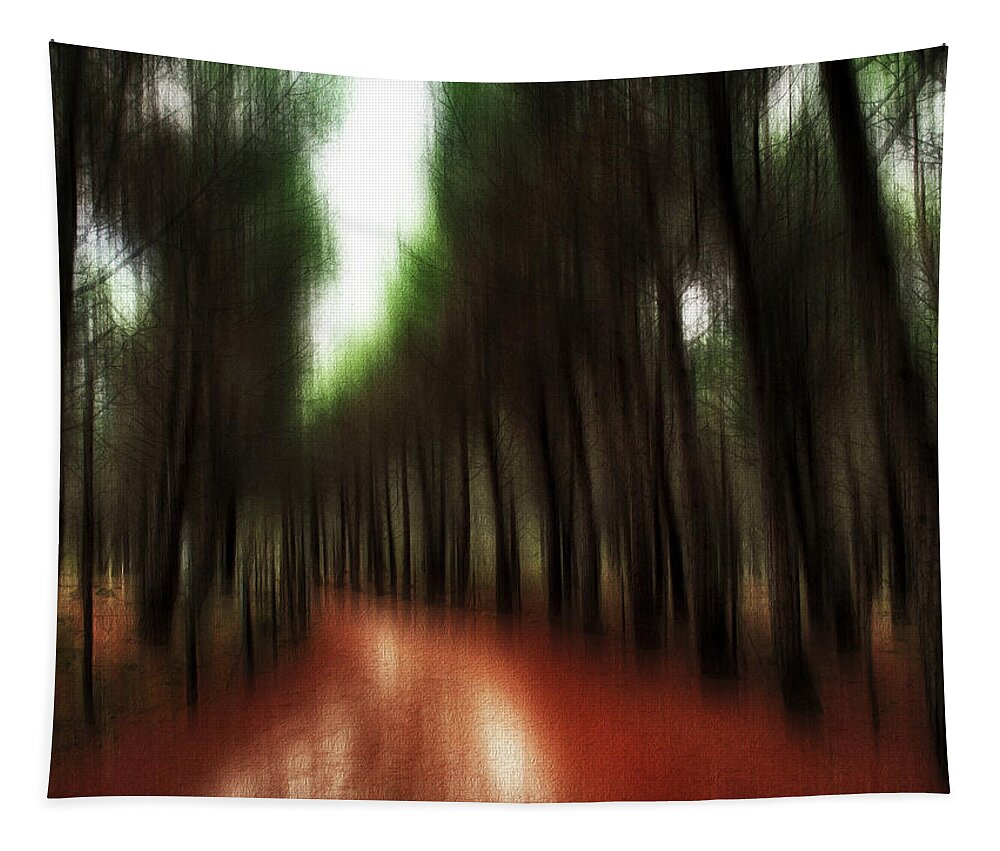 Woodland Tapestry featuring the photograph Autumn path 2 by Al Fio Bonina
