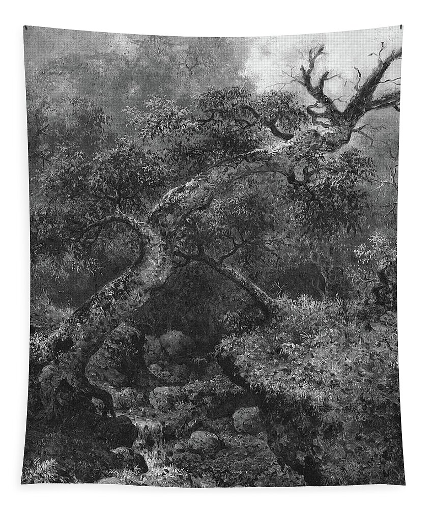 Martin Johnson Heade Tapestry featuring the drawing Woodland Sketch by Martin Johnson Heade