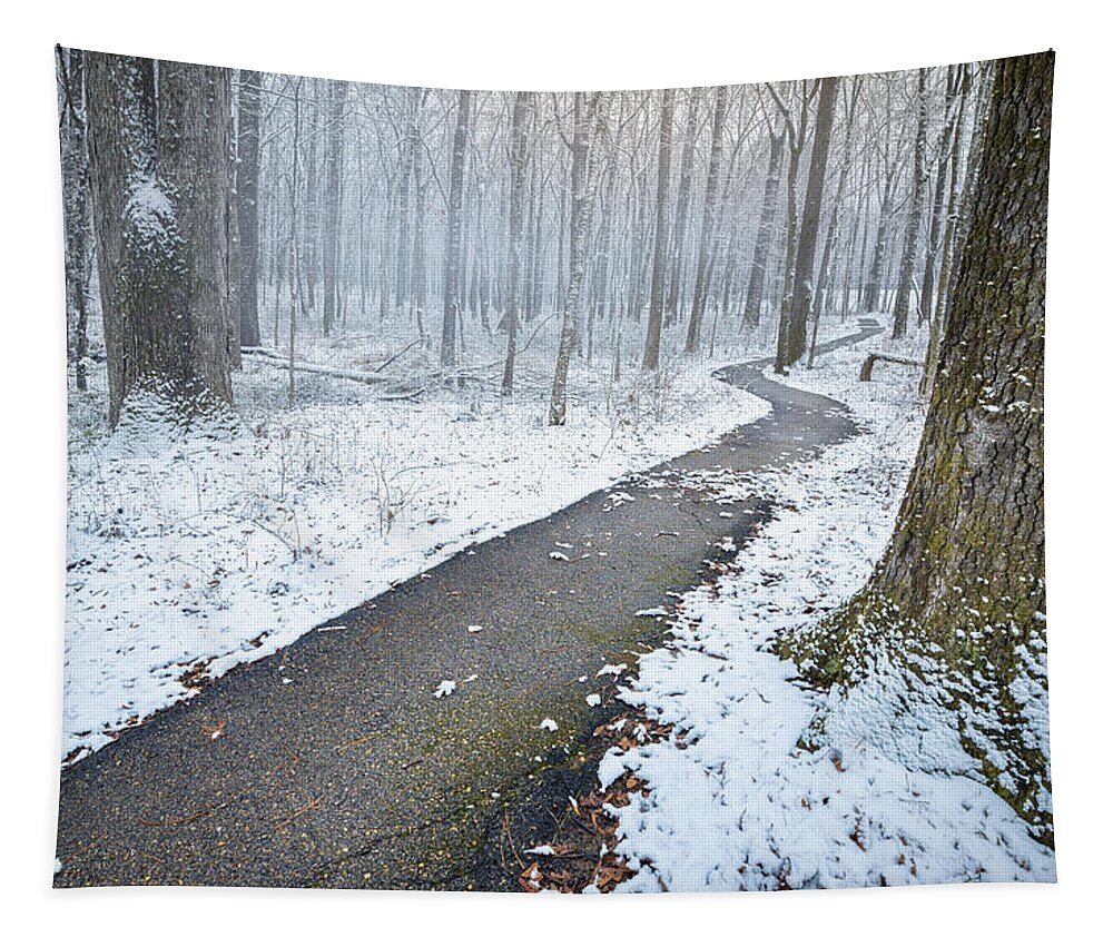 Snow Day Tapestry featuring the photograph Cold Winter Path by Jordan Hill