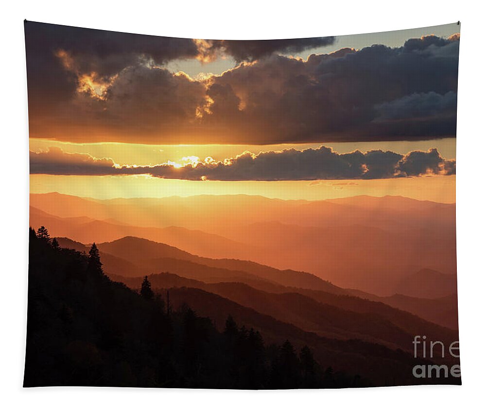 Mountain Tapestry featuring the photograph Woolyback Gold by Anthony Heflin