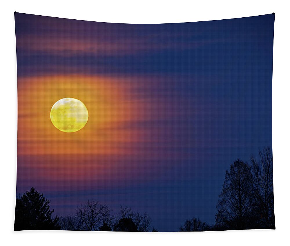 Moon Tapestry featuring the photograph Worm Moon Over Allentown by Jason Fink