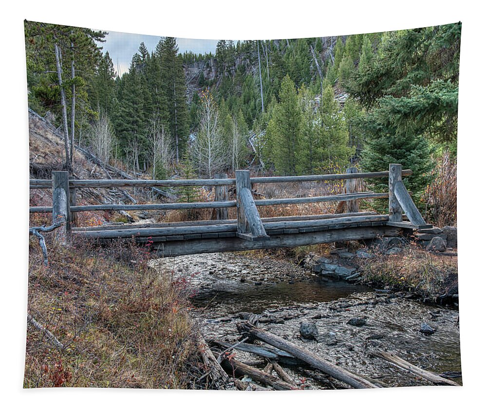 Nature Tapestry featuring the photograph Wraith Falls Bridge by Paul Freidlund