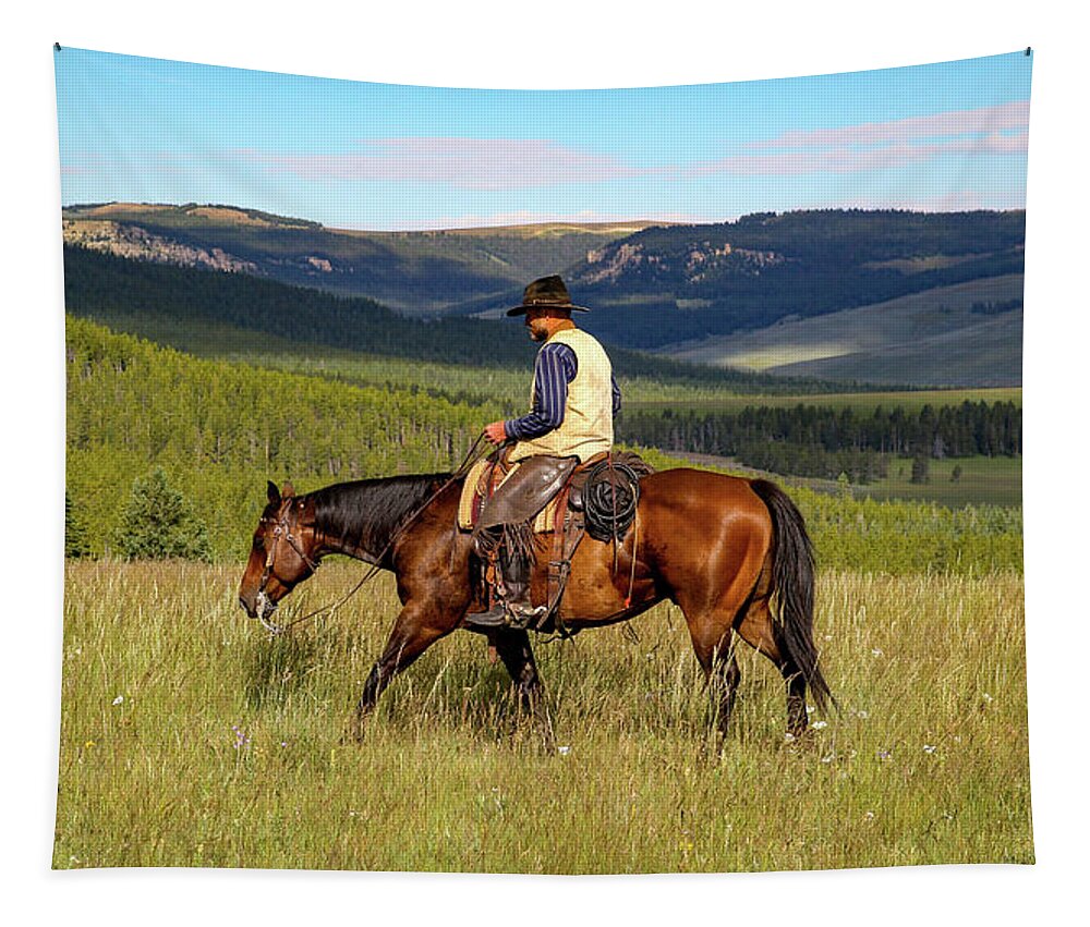 Wyoming Landscape Tapestry featuring the photograph Wyoming Summer by Diane Bohna