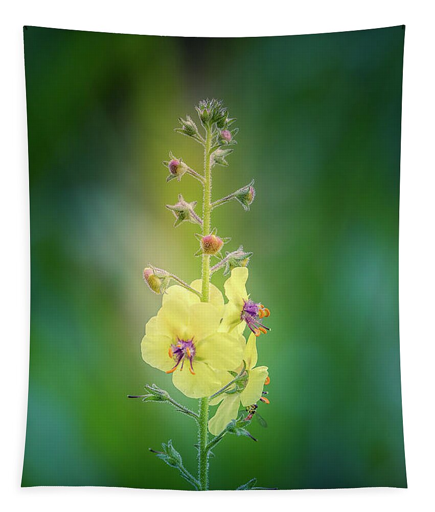 Flower Tapestry featuring the photograph Yellow and Green by Allin Sorenson