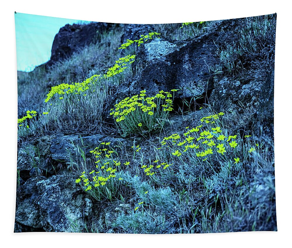 Flowers Tapestry featuring the photograph Yellow flowers hillside by Jeff Swan