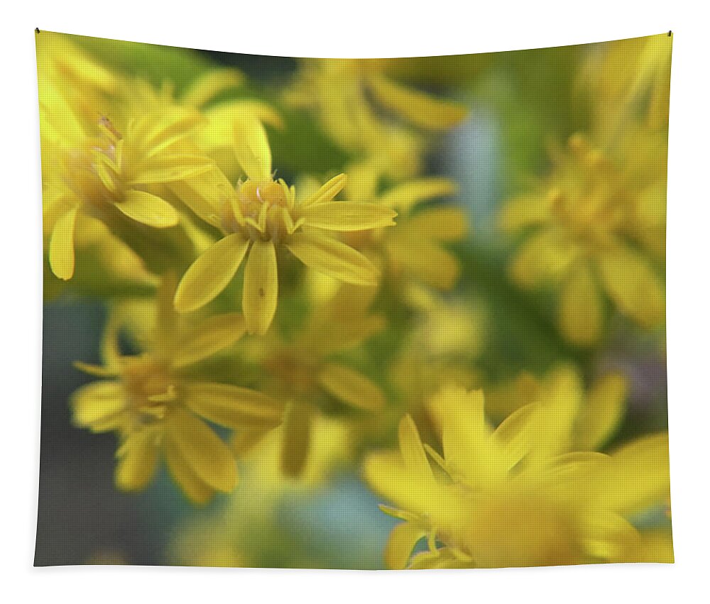 Springtime Tapestry featuring the photograph Yellow Flowers by K Bradley Washburn