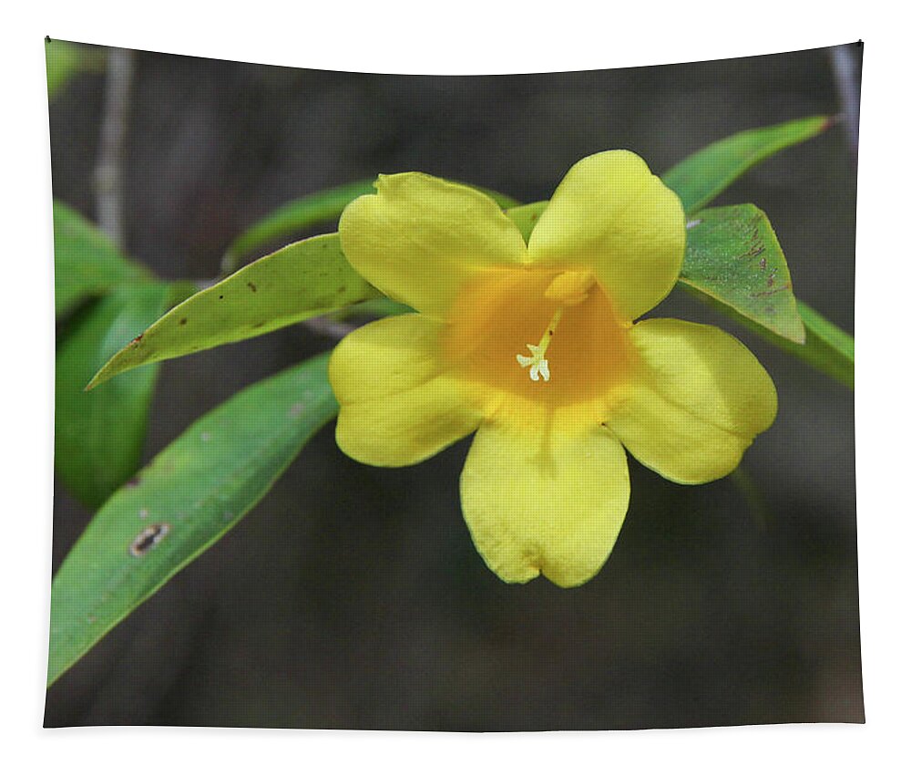 Yellow Jessamine Tapestry featuring the photograph Yellow Jessamine in Bloom by Donna Kaluzniak
