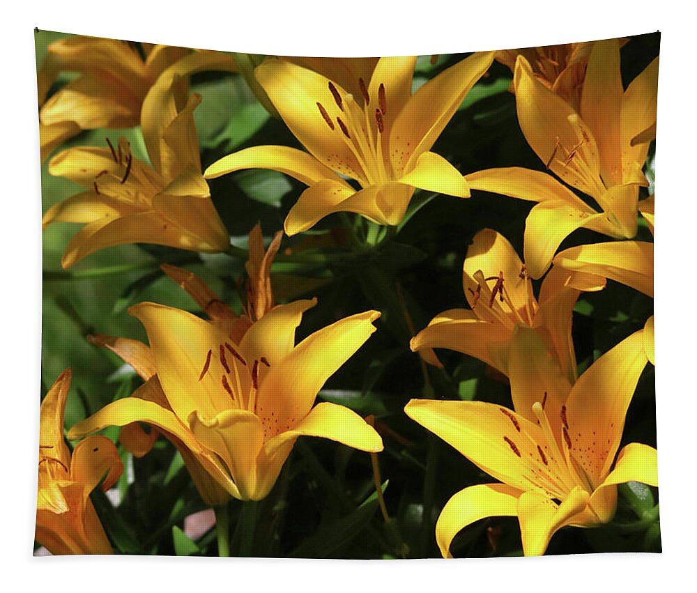 Flowers Tapestry featuring the photograph Yellow Lilies by Trina Ansel