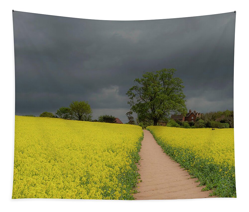 Landscape Tapestry featuring the photograph Yellow ocean 1 by Remigiusz MARCZAK
